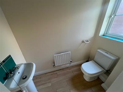 Picture 7